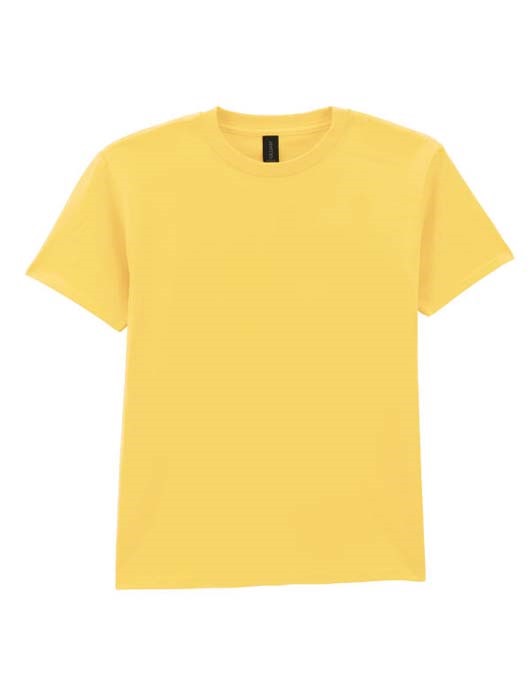 Softstyle Midweight Youth T-Shirt