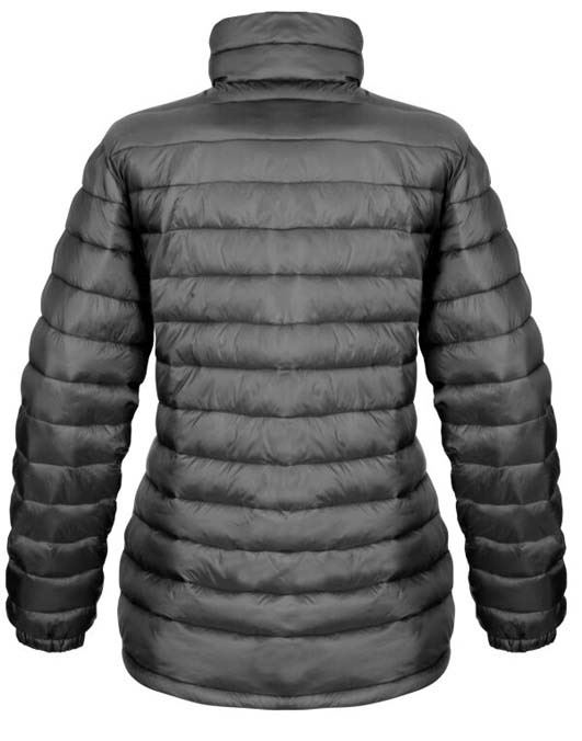 Ladies&#39; Ice Bird Padded Jacket